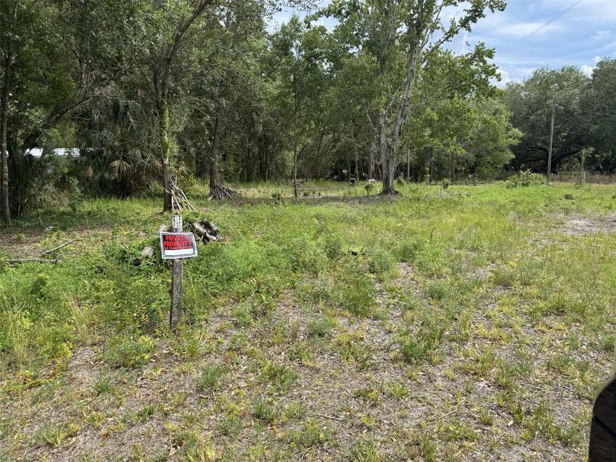 1.19 ACRES OF RURAL LAND WITH HWY 60 FRONTAGE! Build your home or put a manufactured on the property. There is electric and an old well on the property. It has been determined that the well is not in working condition. This property is close to all conveniences such as shopping, medical, schools, restaurants, churches, and gyms. Vero Beach is only an hour away and an easy drive east on Hwy 60. Enjoy peaceful, private living. Several great fishing lakes in the area. The Orlando attractions are an hour away. Check with Polk County for potential zoning changes or any restrictions.