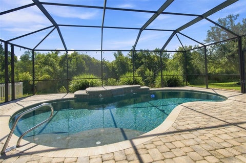 Photo of 20233 Merry Oak Avenue, Tampa, FL 33647 (MLS # TB8537667)