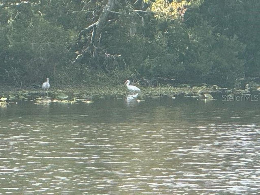 Photo of 440 Lakeview Drive, Oldsmar, FL 34677 (MLS # TB8454195)