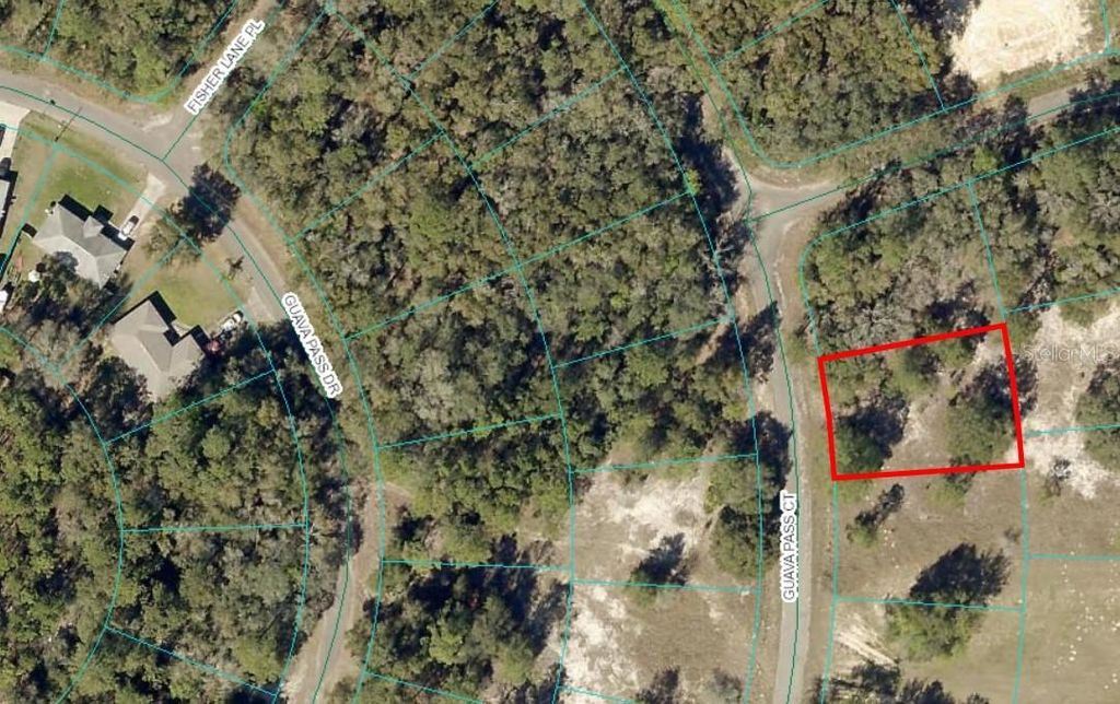 Photo of Guava Pass Ct, Ocklawaha, FL 32179 (MLS # TB8332996)