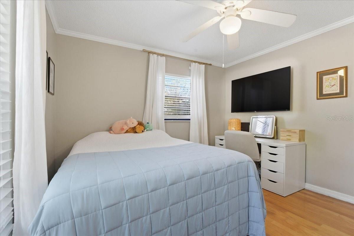 GEORGETOWNE - Residential