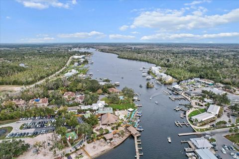 Tiny photo for 10460 W New York Street, Homosassa, FL 34448 (MLS # TB8342343)