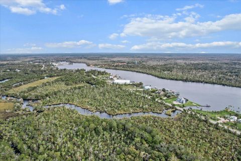 Tiny photo for 10460 W New York Street, Homosassa, FL 34448 (MLS # TB8342343)