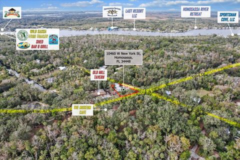 Tiny photo for 10460 W New York Street, Homosassa, FL 34448 (MLS # TB8342343)