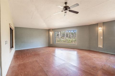 Tiny photo for 10411 County Road 474, Clermont, FL 34714 (MLS # G5106136)