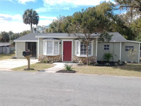 A home in MOUNT DORA