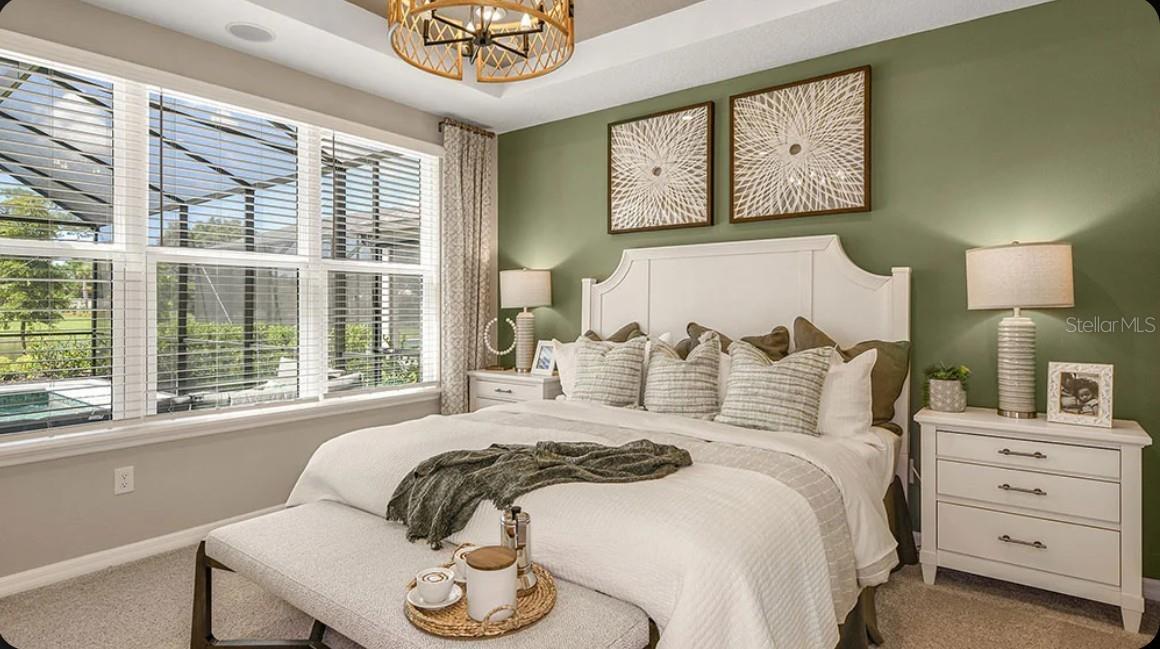11743 SOFT MEADOW MEWS