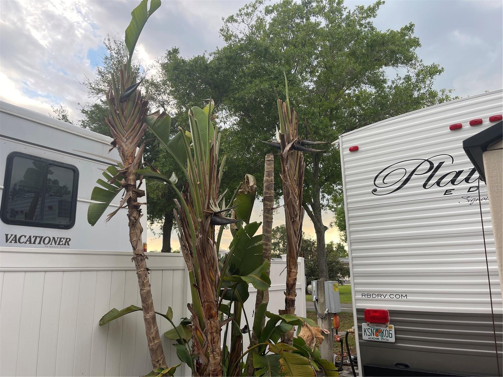 PARADISE PINES RV PARK CONDO - Land