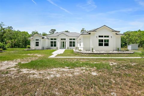 Photo of 1370 Buckles Road, Pierson, FL 32180 (MLS # V4948549)