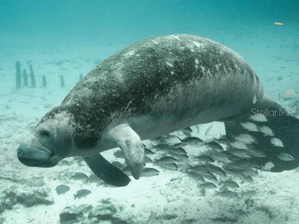 DAYTONA PARK ESTATES SEC #C - Residential