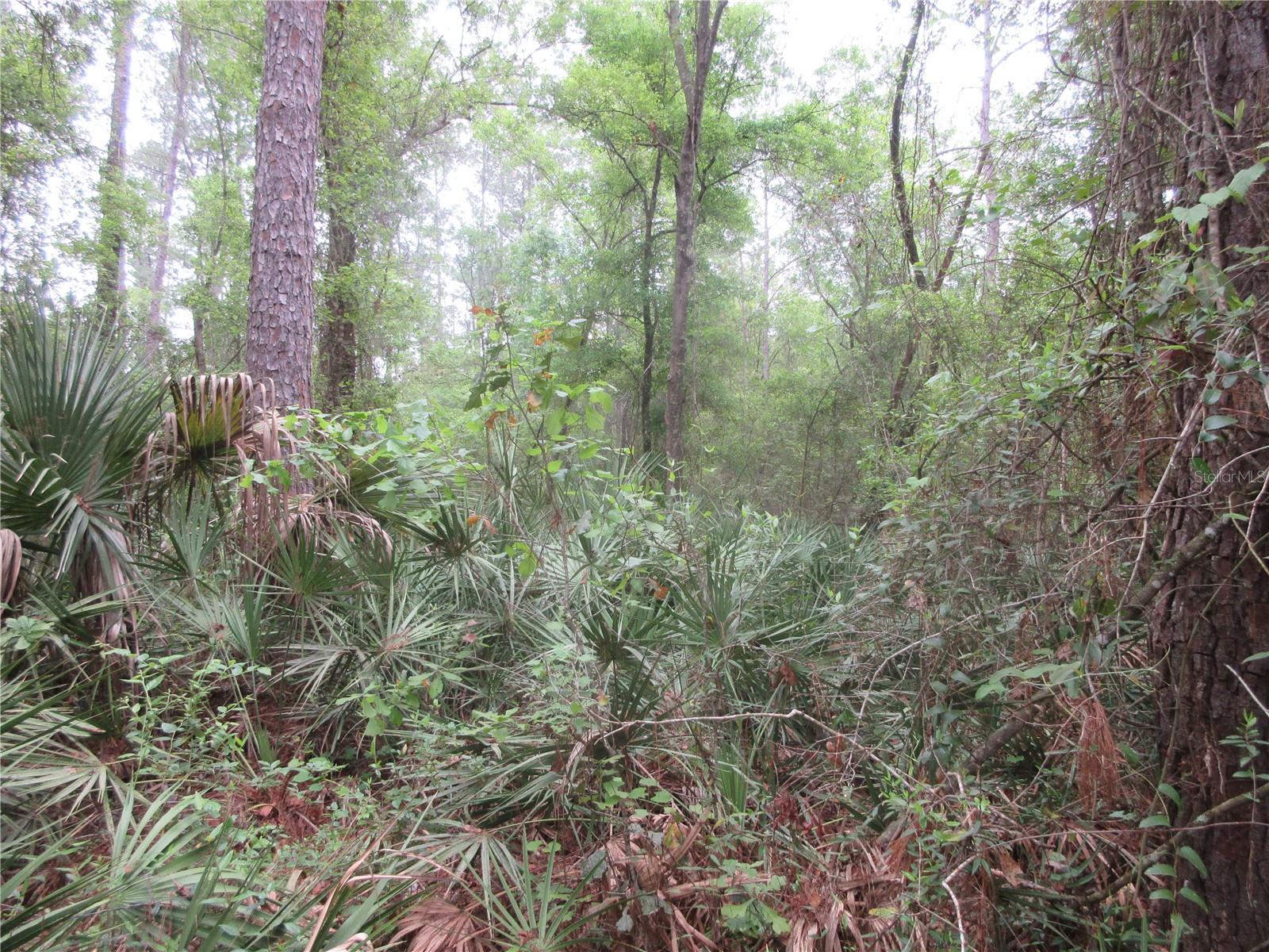 SHADY ACRES SUB - Residential