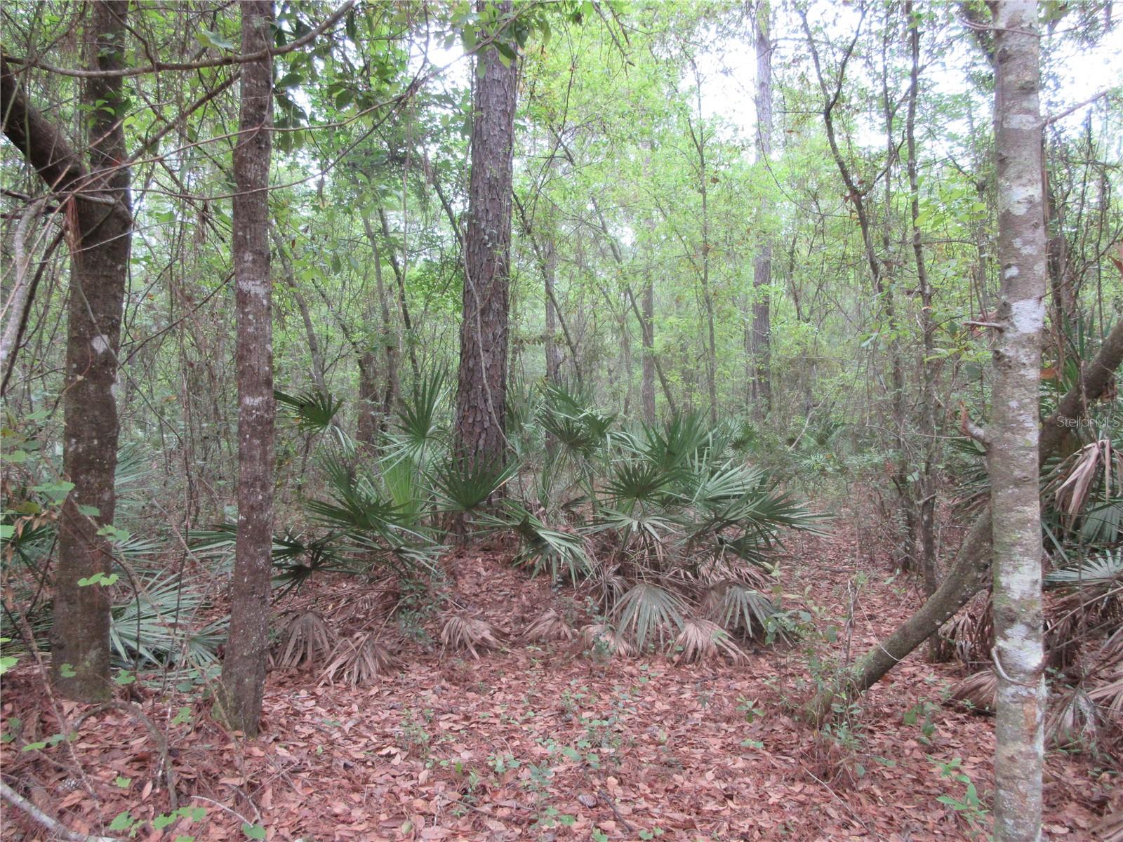 SHADY ACRES SUB - Residential