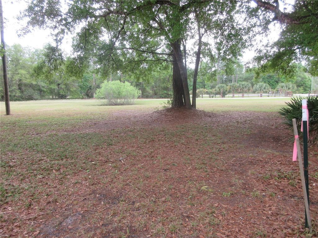 listing image 52