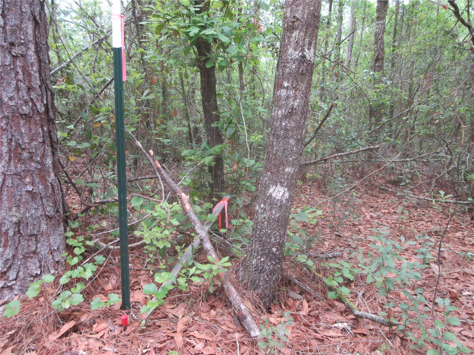 SHADY ACRES SUB - Residential