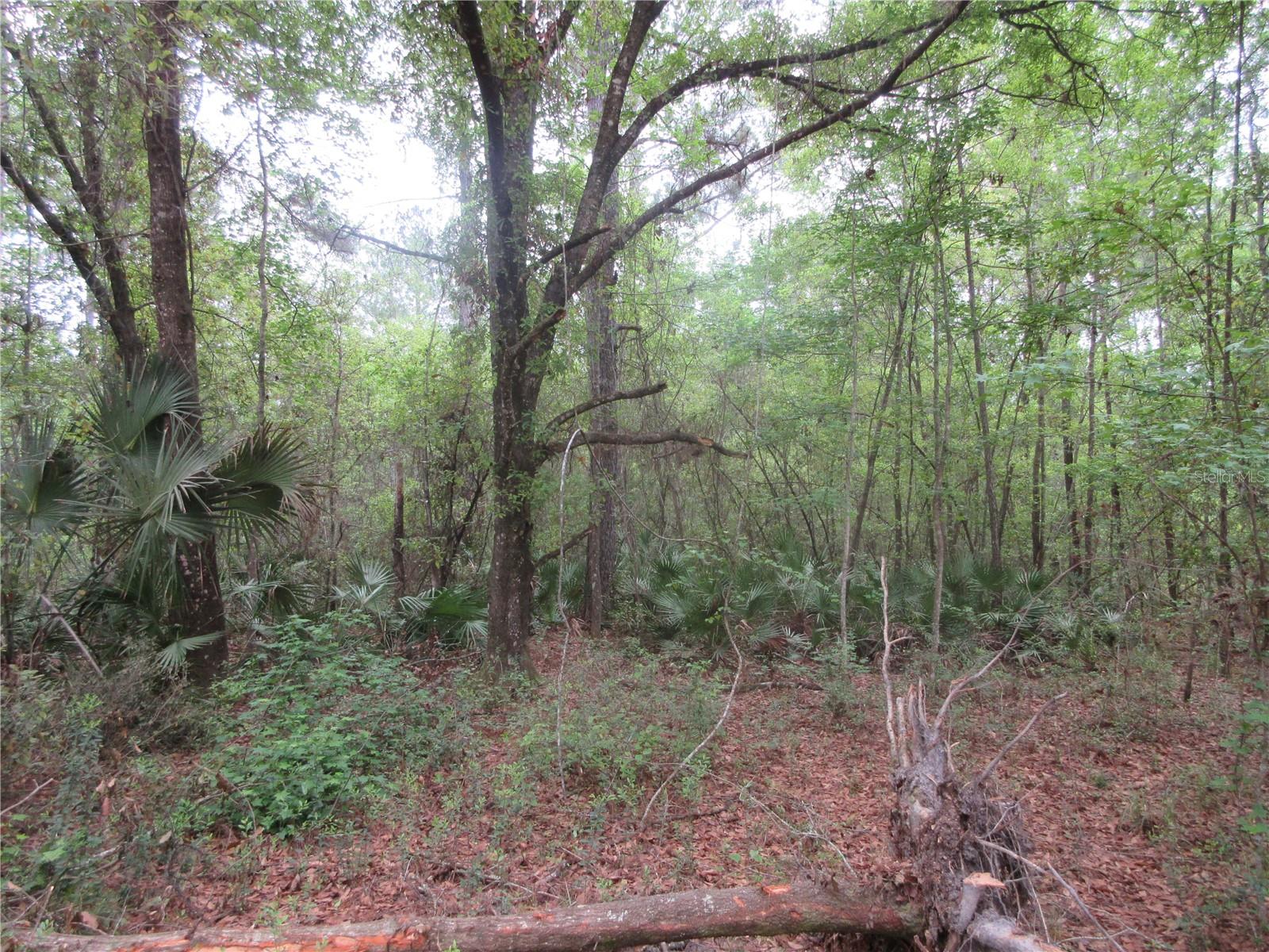 SHADY ACRES SUB - Residential