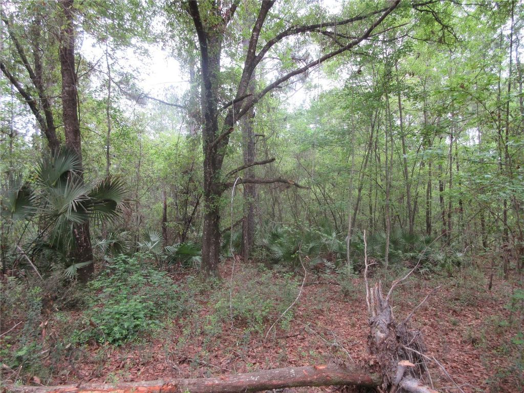 listing image 65