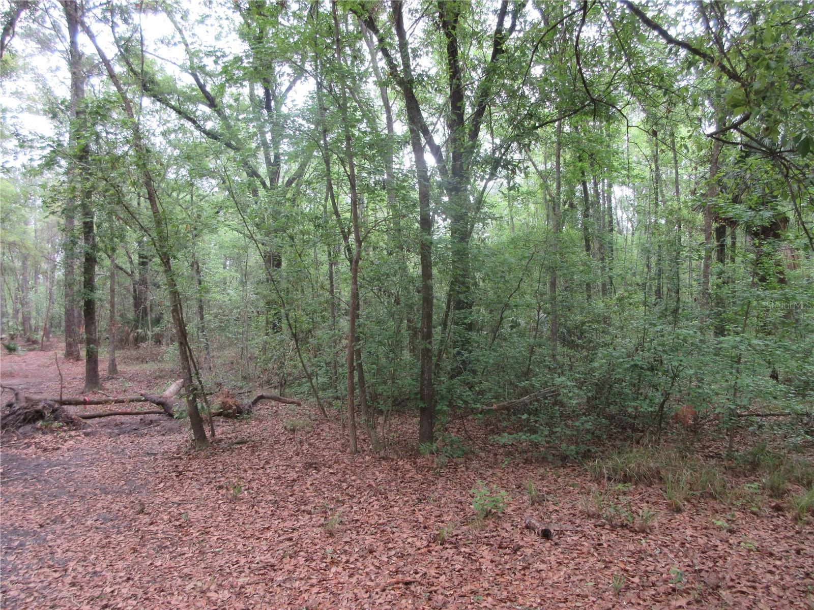 SHADY ACRES SUB - Residential