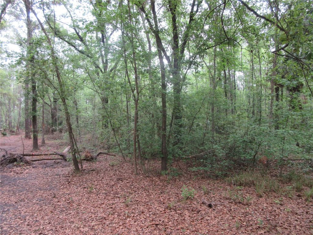 listing image 59