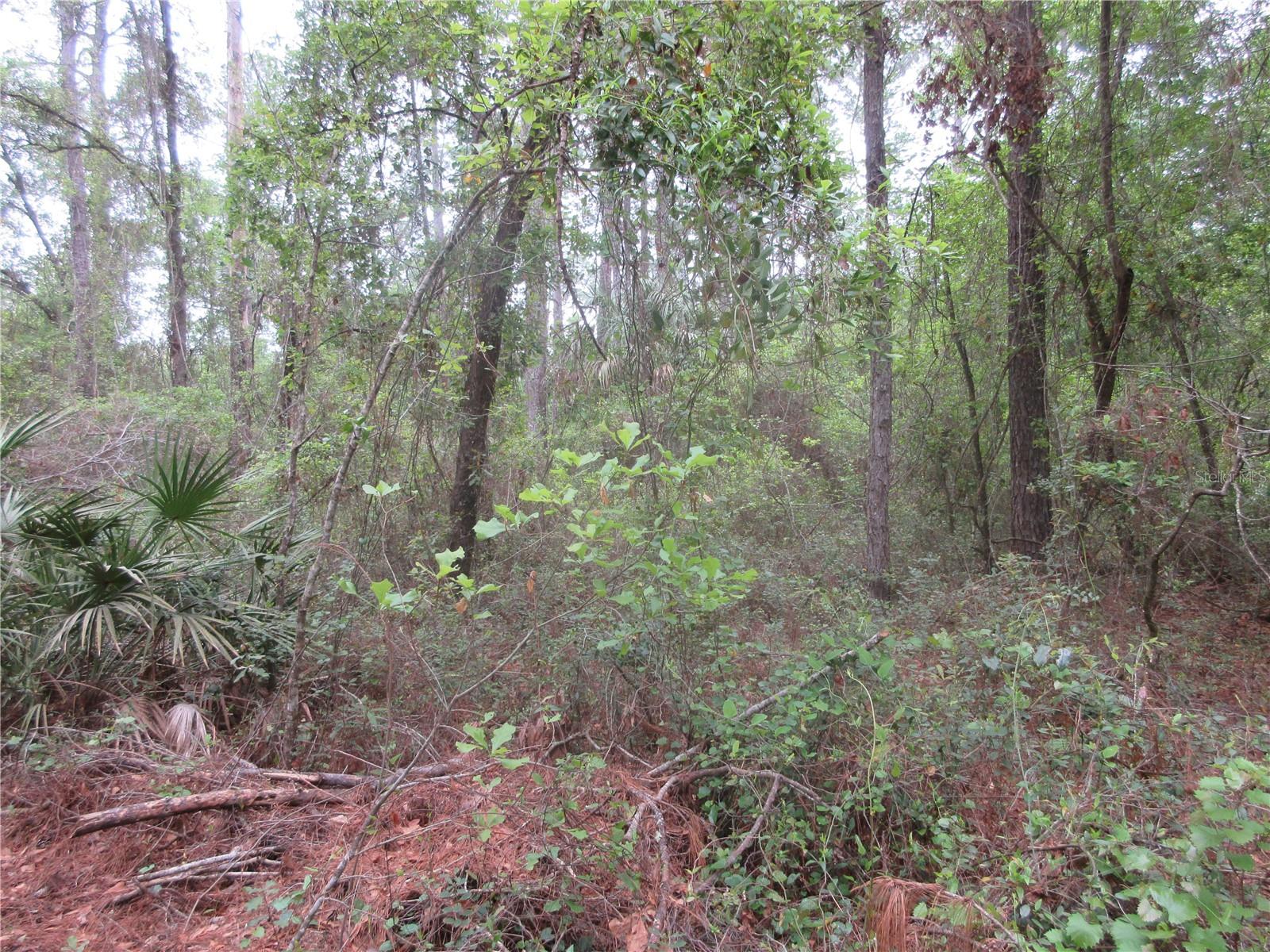 SHADY ACRES SUB - Residential