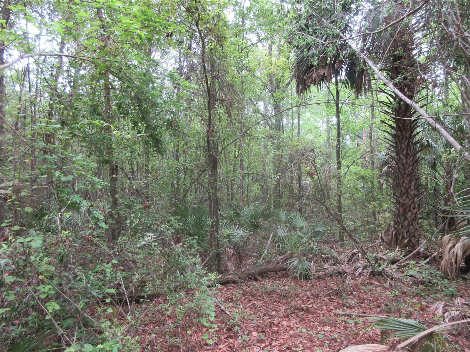 SHADY ACRES SUB - Residential