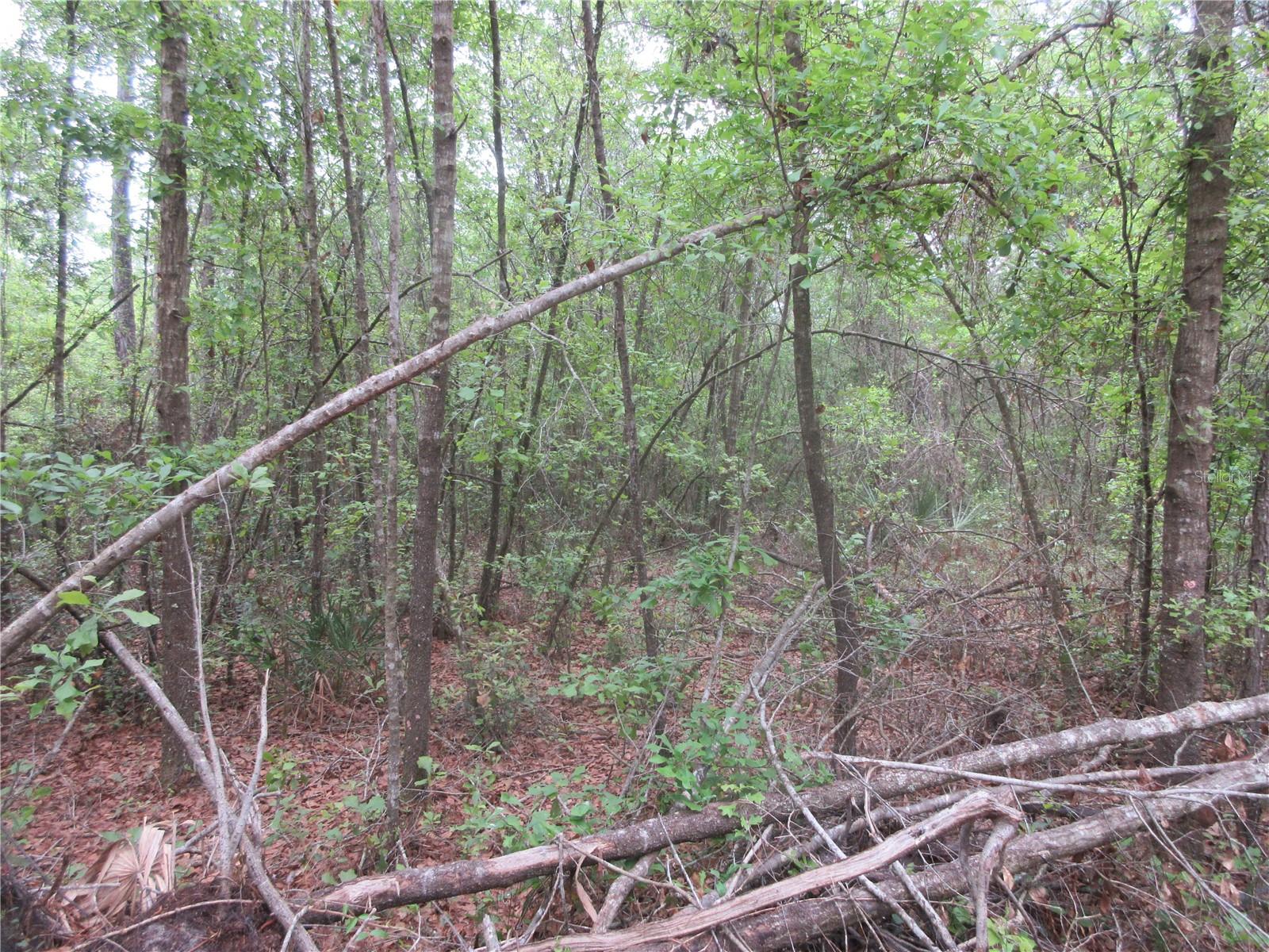 SHADY ACRES SUB - Residential