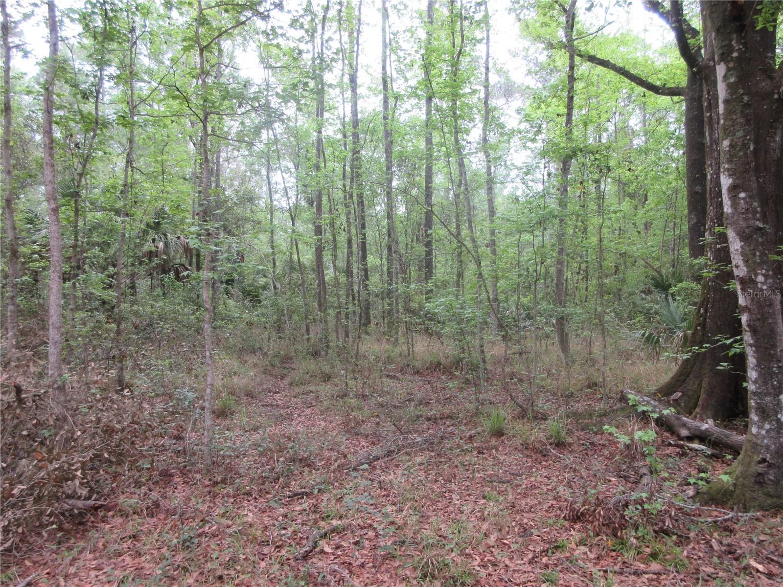 SHADY ACRES SUB - Residential