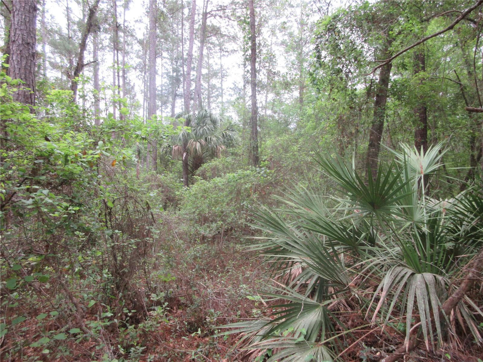 SHADY ACRES SUB - Residential