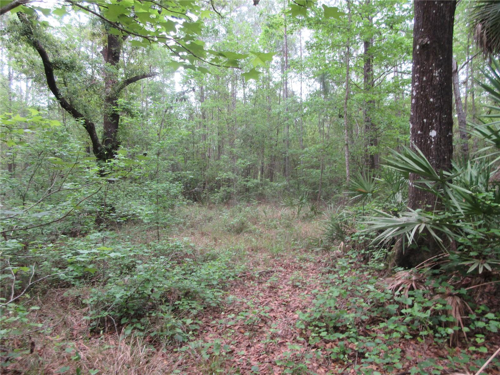 SHADY ACRES SUB - Residential