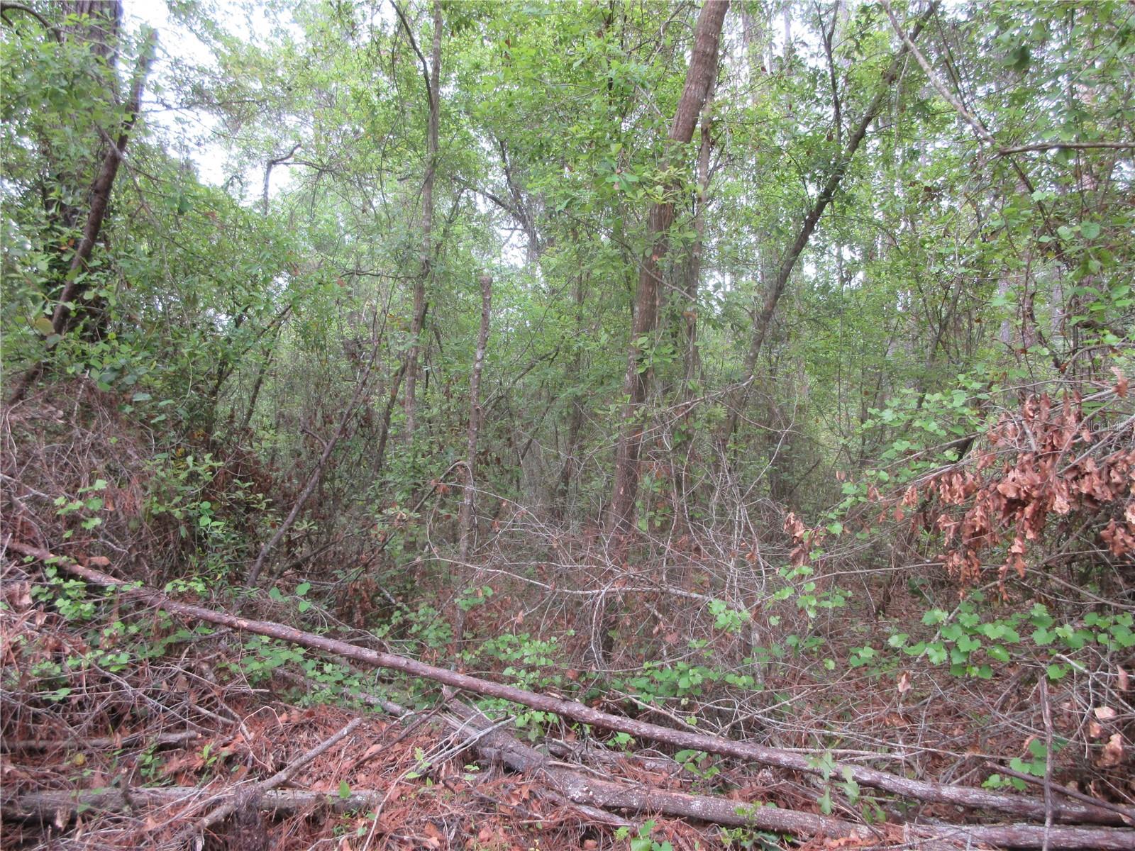 SHADY ACRES SUB - Residential