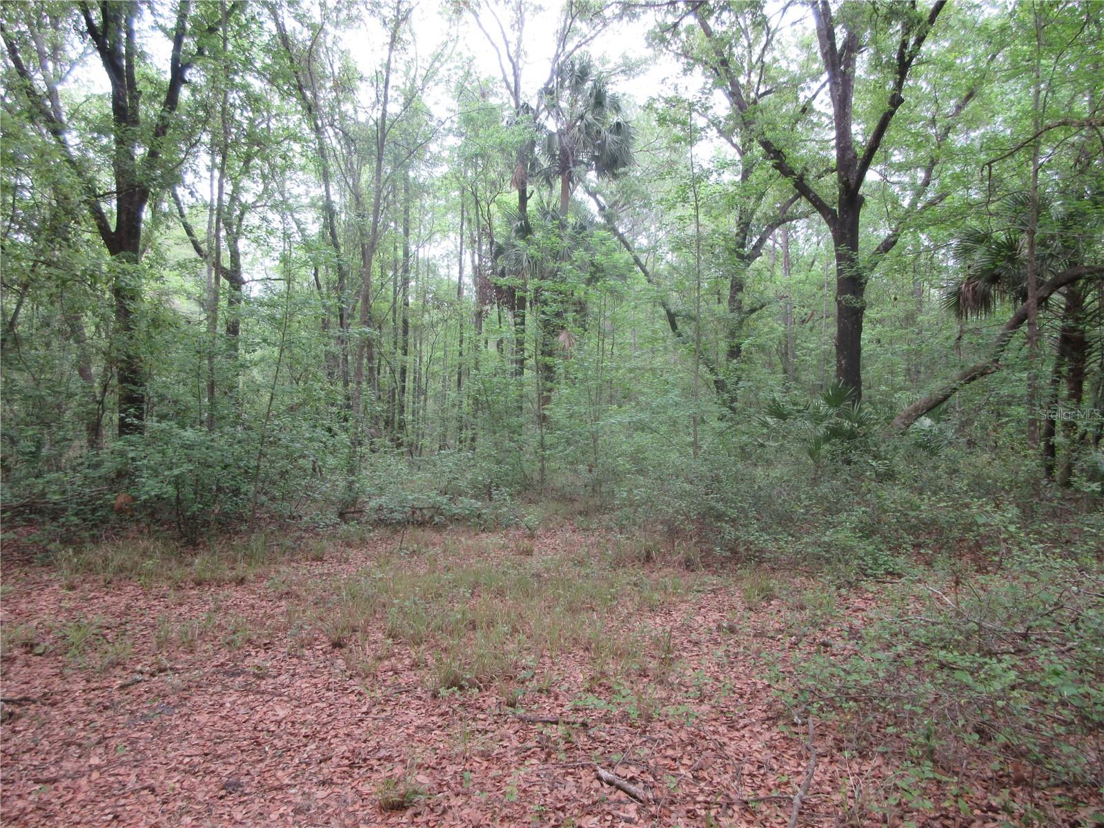 SHADY ACRES SUB - Residential