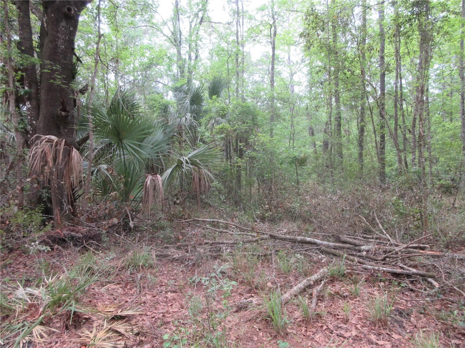 SHADY ACRES SUB - Residential