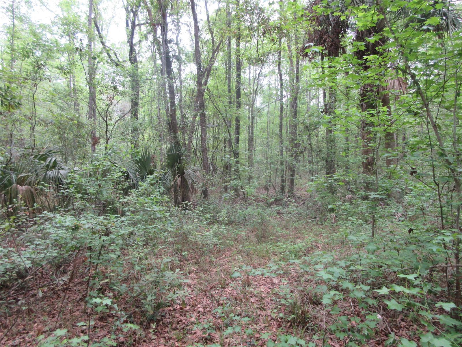 SHADY ACRES SUB - Residential