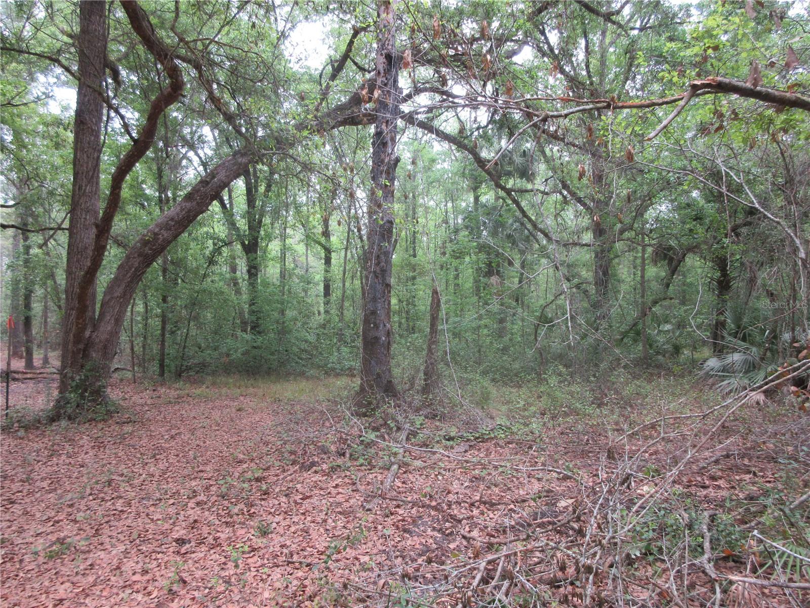 SHADY ACRES SUB - Residential