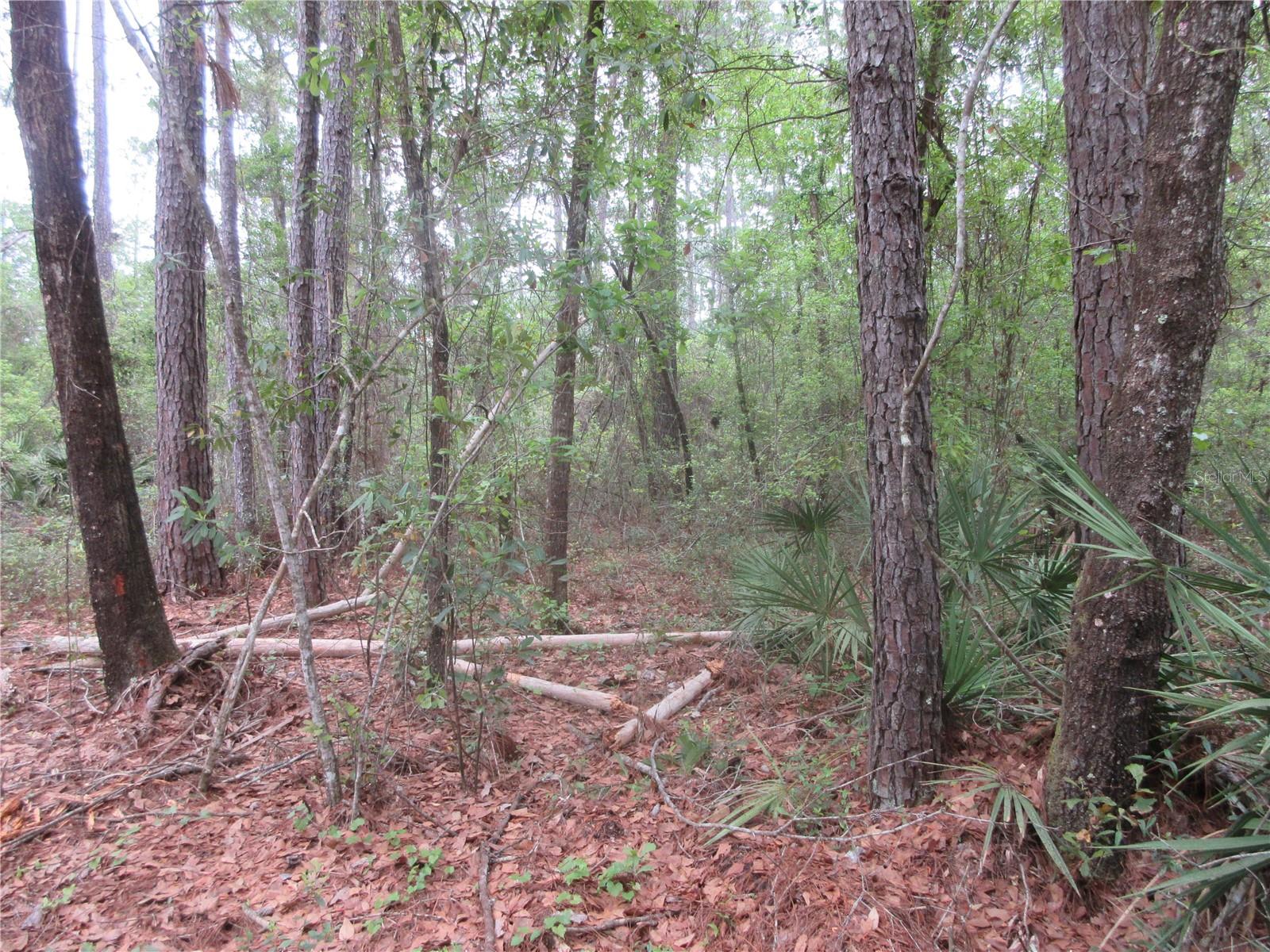 SHADY ACRES SUB - Residential