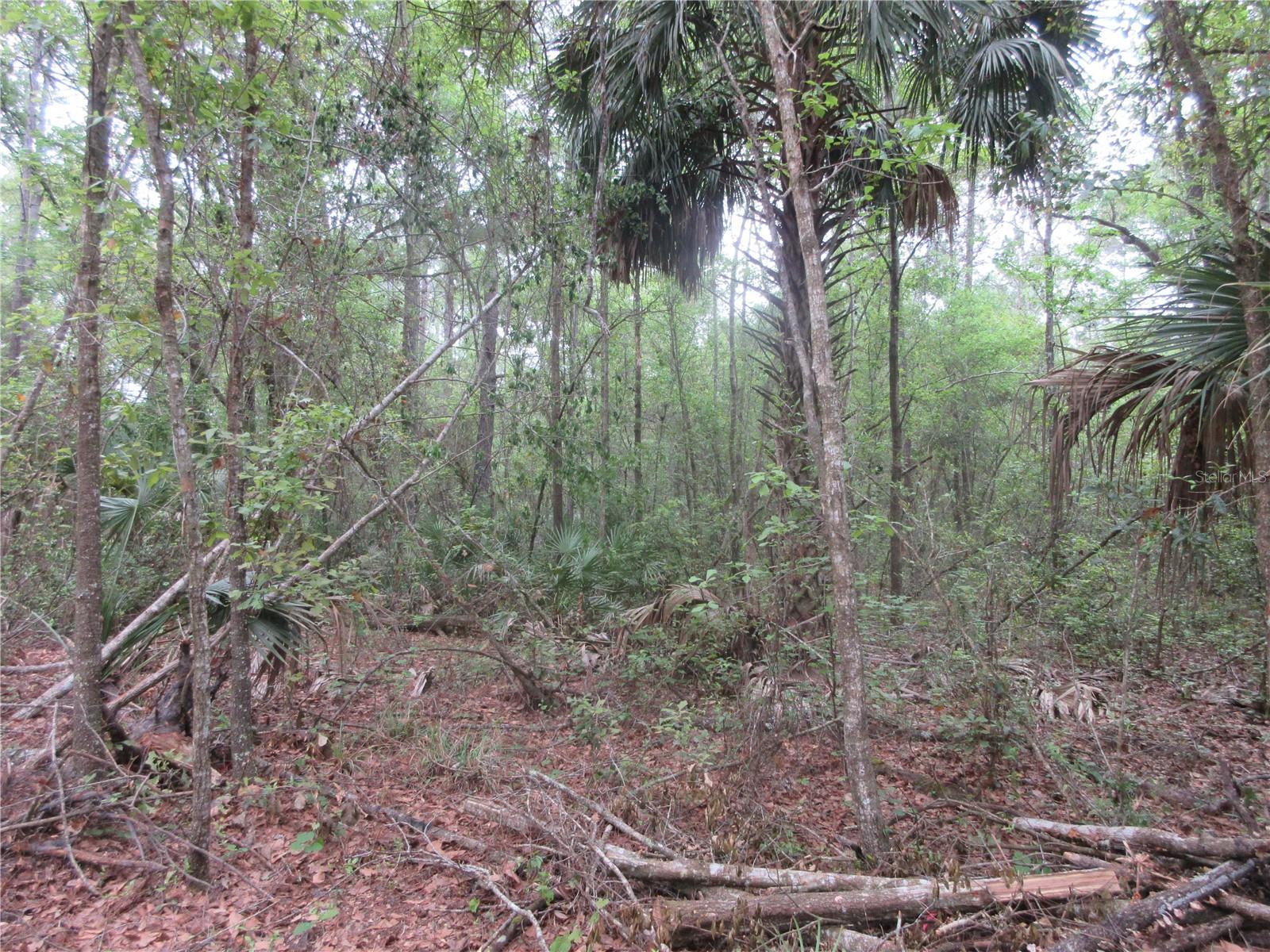 SHADY ACRES SUB - Residential