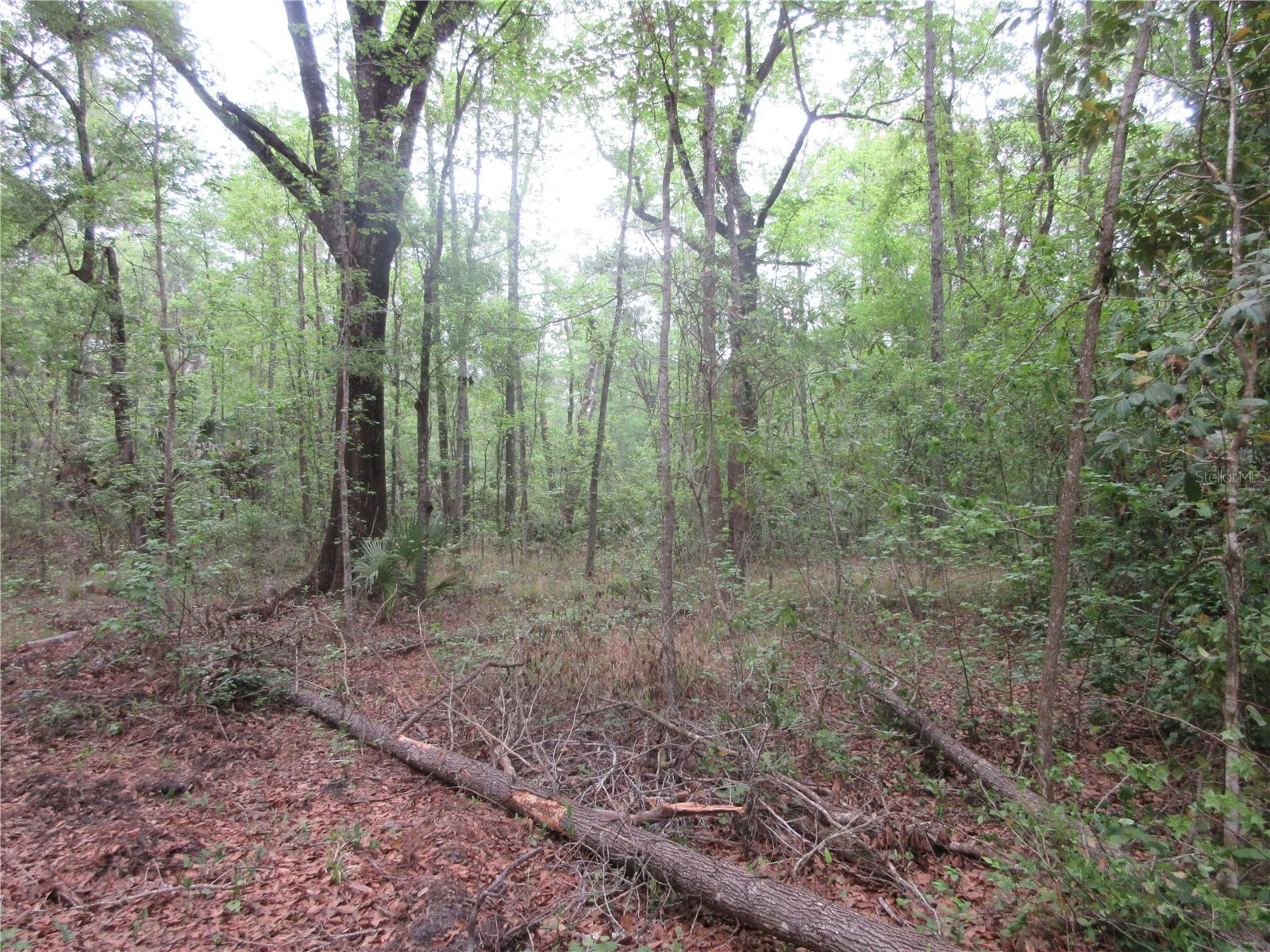 SHADY ACRES SUB - Residential