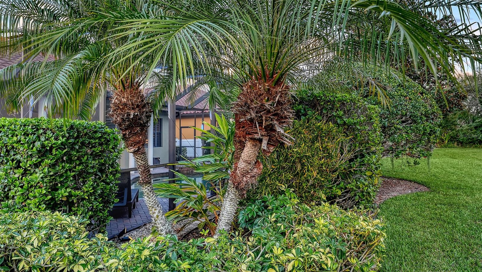 RESIDENCES AT UNIVERSITY GROVES - Residential