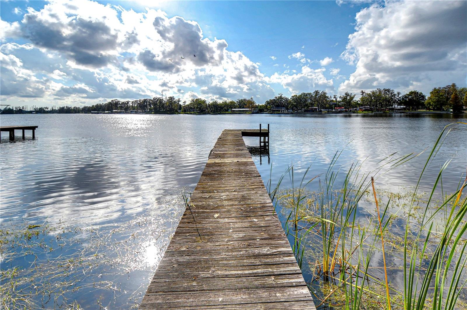 3207 LAKE PADGETT DRIVE