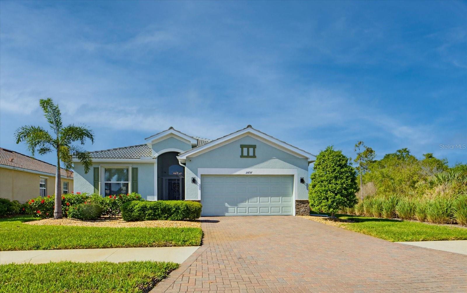 11697 SPOTTED MARGAY AVENUE