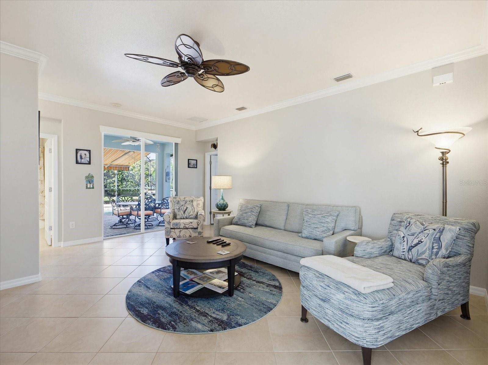 11697 SPOTTED MARGAY AVENUE
