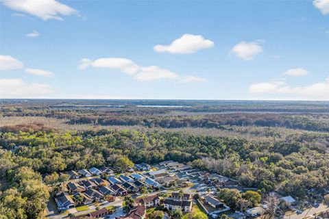 Tiny photo for 1721 County Road 25a, Leesburg, FL 34748 (MLS # G5108955)