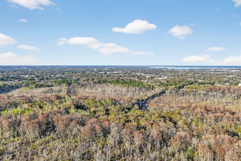 Tiny photo for 1721 County Road 25a, Leesburg, FL 34748 (MLS # G5108955)