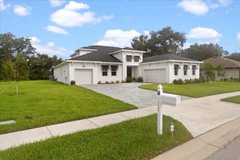 A home in SPRING HILL