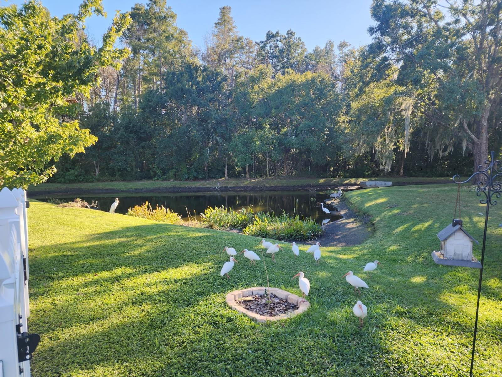 TRINITY OAKS INCREMENT M SOUTH - Residential