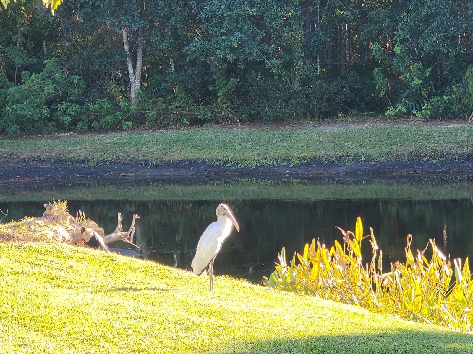 TRINITY OAKS INCREMENT M SOUTH - Residential