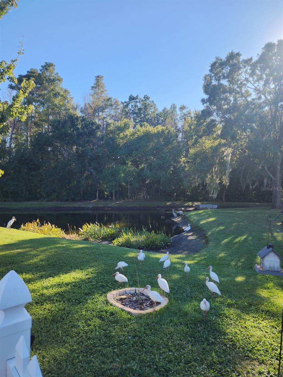 TRINITY OAKS INCREMENT M SOUTH - Residential