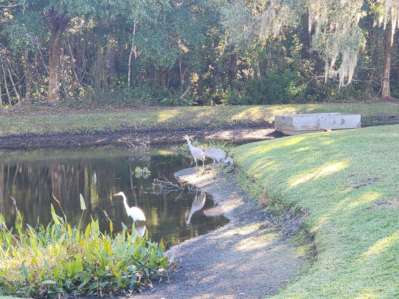 TRINITY OAKS INCREMENT M SOUTH - Residential