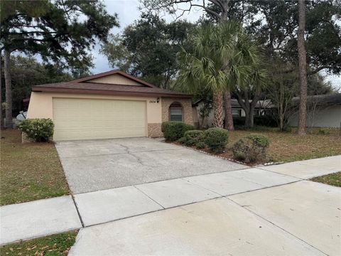 1904 PEPPERTREE DRIVE OLDSMAR FL 34677