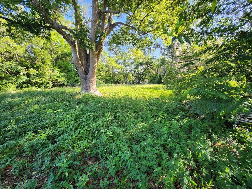 Photo of 1434 Newhope Road, Spring Hill, FL 34606 (MLS # TB8521128)