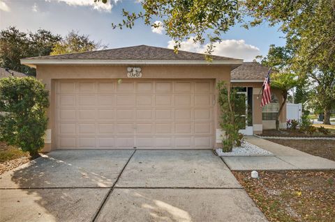 Photo of 13201 Sharondale Court, Riverview, FL 33579 (MLS # TB8459297)